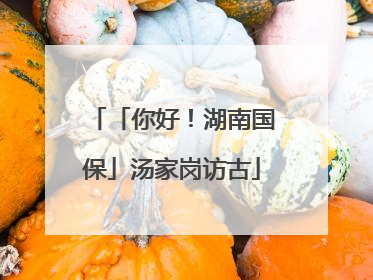 「你好！湖南国保」汤家岗访古