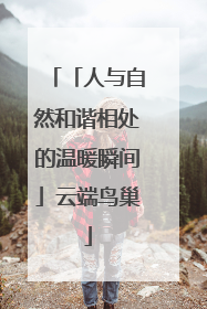 「人与自然和谐相处的温暖瞬间」云端鸟巢