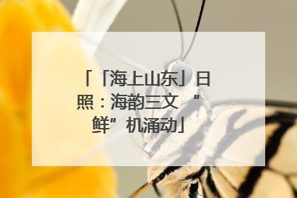 「海上山东」日照：海韵三文 “鲜”机涌动