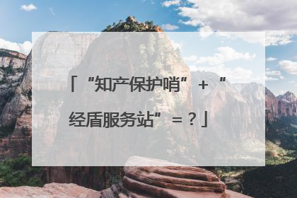 “知产保护哨”+“经盾服务站”=？