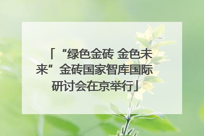 “绿色金砖 金色未来”金砖国家智库国际研讨会在京举行