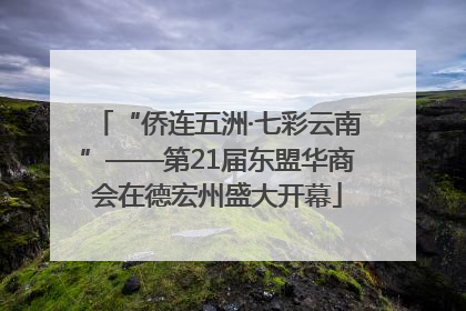 “侨连五洲·七彩云南”——第21届东盟华商会在德宏州盛大开幕
