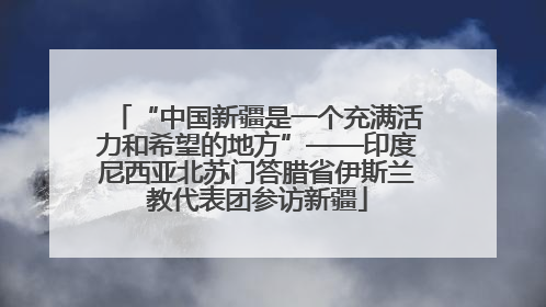 “中国新疆是一个充满活力和希望的地方”——印度尼西亚北苏门答腊省伊斯兰教代表团参访新疆