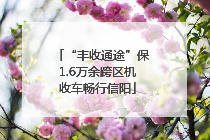“丰收通途”保1.6万余跨区机收车畅行信阳