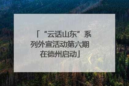 “云话山东”系列外宣活动第六期在德州启动