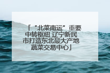 “北菜南运”重要中转枢纽 辽宁新民市打造东北最大产地蔬菜交易中心