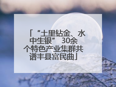 “土里钻金、水中生银” 30余个特色产业集群共谱丰县富民曲