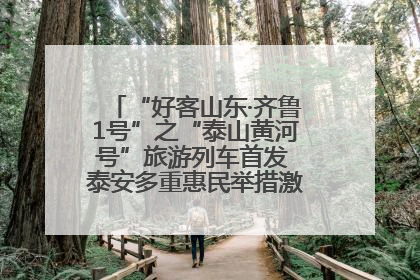 “好客山东·齐鲁1号”之“泰山黄河号”旅游列车首发 泰安多重惠民举措激活文旅消费新动能