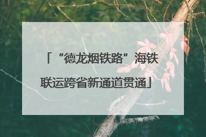 “德龙烟铁路”海铁联运跨省新通道贯通