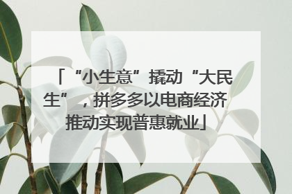 “小生意”撬动“大民生”，拼多多以电商经济推动实现普惠就业