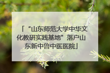 “山东师范大学中华文化教研实践基地”落户山东新中鲁中医医院
