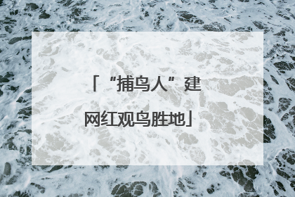 “捕鸟人”建网红观鸟胜地