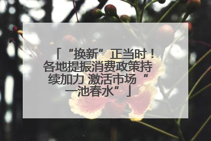 “换新”正当时！各地提振消费政策持续加力 激活市场“一池春水”
