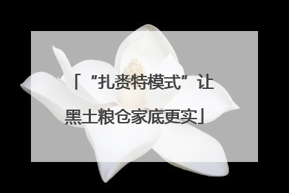“扎赉特模式”让黑土粮仓家底更实