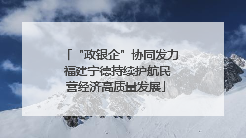 “政银企”协同发力 福建宁德持续护航民营经济高质量发展