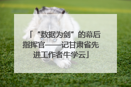 “数据为剑”的幕后指挥官——记甘肃省先进工作者牛学云