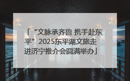 “文脉承齐鲁 携手赴东平”2025东平湖文旅走进济宁推介会圆满举办