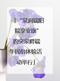 “泉润端阳 粽享安康” 趵突泉畔端午民俗体验活动举行