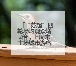 “苏超”四轮场均观众增2倍，上周末主场城市游客量升四成
