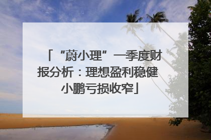“蔚小理”一季度财报分析：理想盈利稳健 小鹏亏损收窄