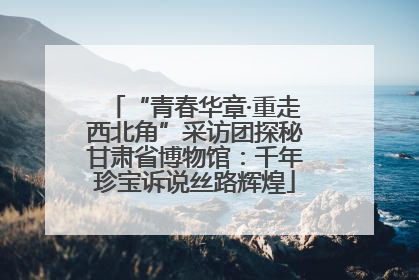 “青春华章·重走西北角”采访团探秘甘肃省博物馆：千年珍宝诉说丝路辉煌