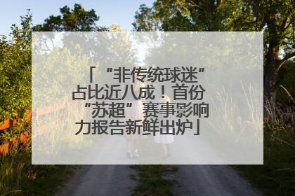 “非传统球迷”占比近八成！首份“苏超”赛事影响力报告新鲜出炉