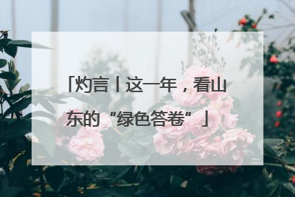 灼言丨这一年，看山东的“绿色答卷”
