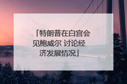 特朗普在白宫会见鲍威尔 讨论经济发展情况