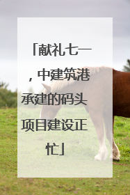献礼七一，中建筑港承建的码头项目建设正忙