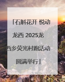 石斛花开 悦动龙西 2025龙西乡荧光村跑活动圆满举行