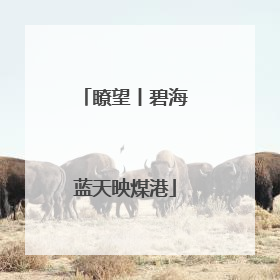 瞭望丨碧海蓝天映煤港