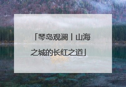 琴岛观澜丨山海之城的长红之道