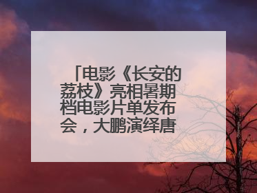 电影《长安的荔枝》亮相暑期档电影片单发布会，大鹏演绎唐朝小人物故事