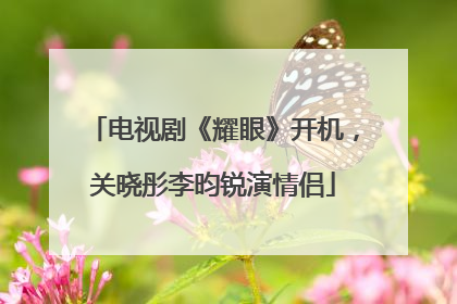 电视剧《耀眼》开机，关晓彤李昀锐演情侣