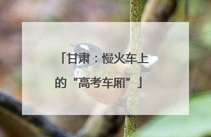 甘肃：慢火车上的“高考车厢”