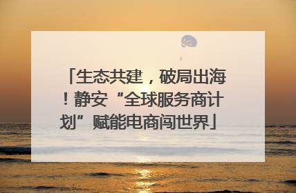 生态共建，破局出海！静安“全球服务商计划”赋能电商闯世界