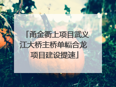 甬金衢上项目武义江大桥主桥单幅合龙 项目建设提速