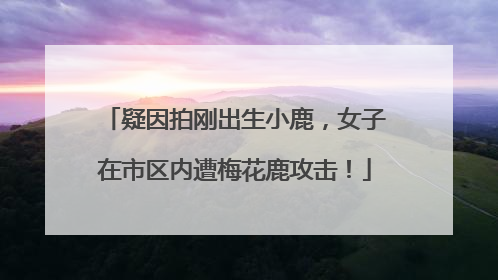 疑因拍刚出生小鹿，女子在市区内遭梅花鹿攻击！