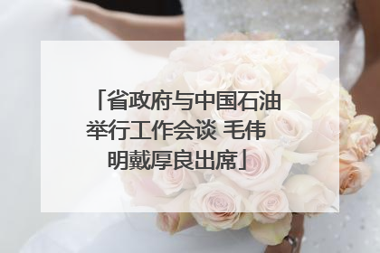 省政府与中国石油举行工作会谈 毛伟明戴厚良出席