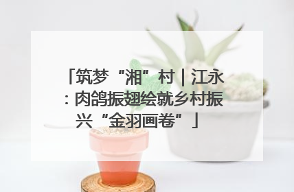 筑梦“湘”村｜江永：肉鸽振翅绘就乡村振兴“金羽画卷”