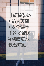 硬核装备+萌犬天团+安全课堂！这场警民互动燃爆地铁台东站