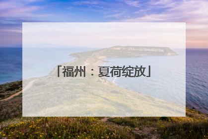 福州：夏荷绽放