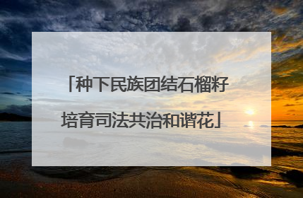 种下民族团结石榴籽 培育司法共治和谐花