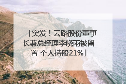 突发！云路股份董事长兼总经理李晓雨被留置 个人持股21%