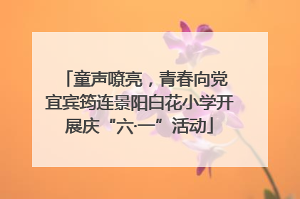 童声嘹亮，青春向党 宜宾筠连景阳白花小学开展庆“六·一”活动