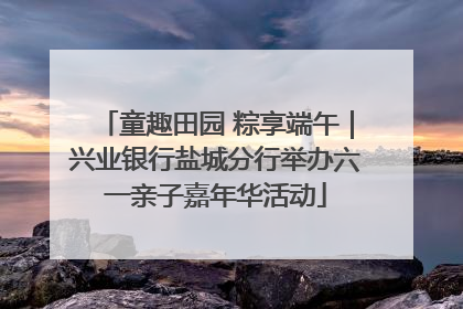 童趣田园 粽享端午｜兴业银行盐城分行举办六一亲子嘉年华活动