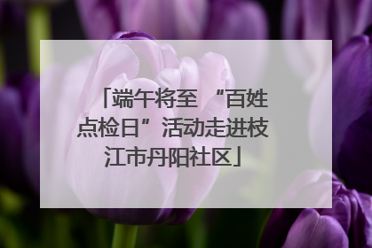 端午将至 “百姓点检日”活动走进枝江市丹阳社区