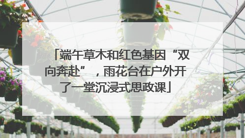 端午草木和红色基因“双向奔赴”，雨花台在户外开了一堂沉浸式思政课