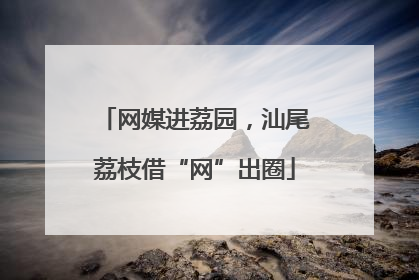 网媒进荔园，汕尾荔枝借“网”出圈