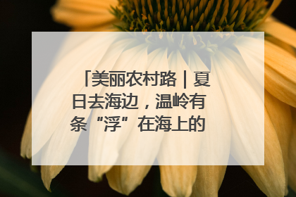 美丽农村路｜夏日去海边，温岭有条“浮”在海上的公路你去过吗？